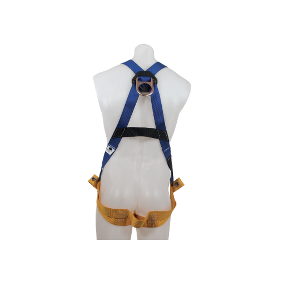 BaseWear Standard UNIVERSAL Harness
